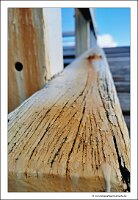 IMG_20230923_114021