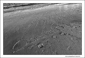 IMG_20230923_114641