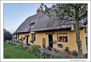 IMG_20231027_174008