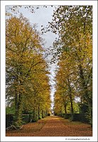 IMG_20231028_120516