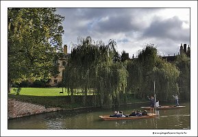IMG_20231028_121231