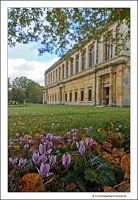 IMG_20231028_121420