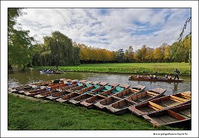 IMG_20231028_121805