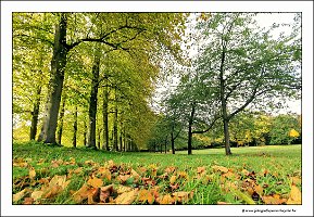 IMG_20231028_122445