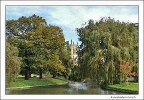 IMG_20231028_122547
