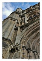 IMG_20231028_124058
