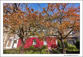 IMG_20231028_140124