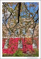 IMG_20231028_140154
