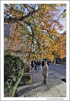 IMG_20231028_140206