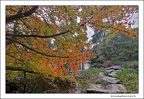 IMG_20231028_143649