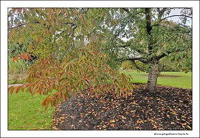 IMG_20231028_144028