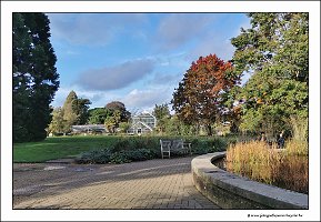 IMG_20231028_145435
