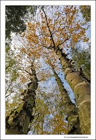 IMG_20231028_145933