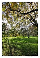 IMG_20231028_151535