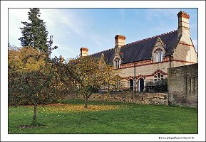 IMG_20231028_151733