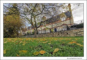 IMG_20231028_152248