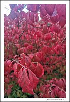 IMG_20231028_153226