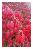 IMG_20231028_153248