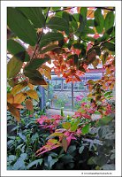 IMG_20231028_155325