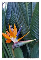 IMG_20231028_160114