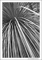 IMG_20231028_160235