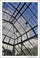 IMG_20231028_160410