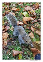 IMG_20231029_145134
