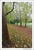 IMG_20231029_145314