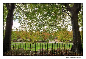 IMG_20231029_145506