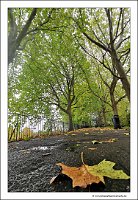 IMG_20231029_145822