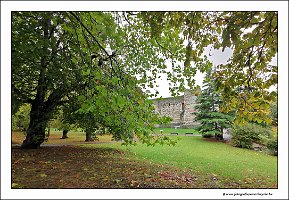 IMG_20231029_145908