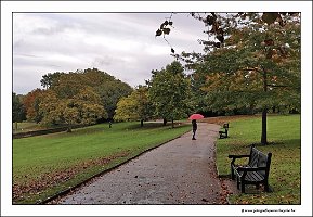 IMG_20231029_150220
