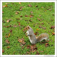 IMG_20231029_150302