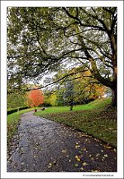 IMG_20231029_150812