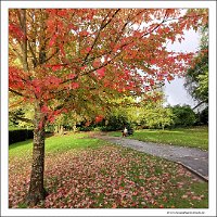 IMG_20231029_150934