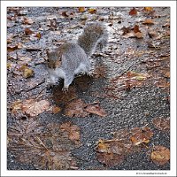 IMG_20231029_152931