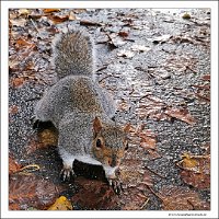 IMG_20231029_152936