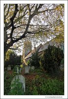 IMG_20231029_154130