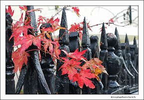 IMG_20231029_161006