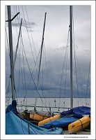 IMG_20231030_115210
