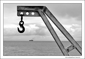 IMG_20231030_124614bw