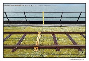 IMG_20231030_140747