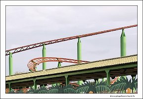 IMG_20231030_143421