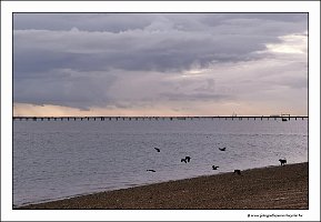 IMG_20231030_151901