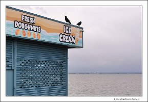 IMG_20231030_153011