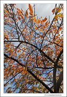 IMG_20231031_102720
