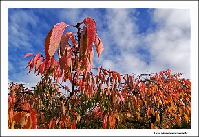 IMG_20231031_102734