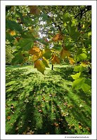 IMG_20231031_104334