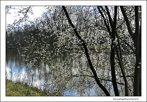 IMG_20240318_130520