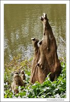 IMG_20240318_130816